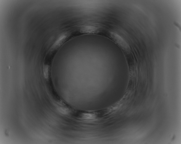X0000095690167200801081256