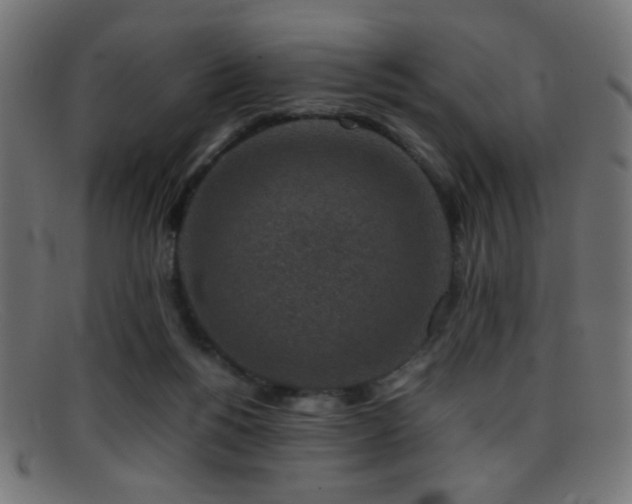 X0000095690168200801081256