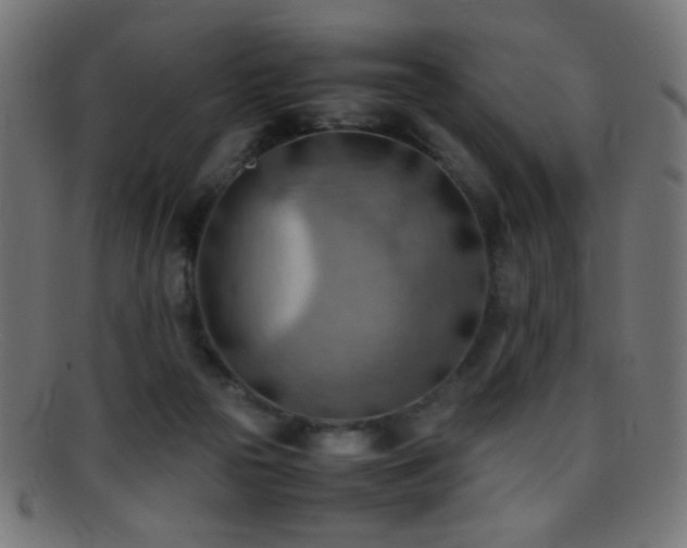 X0000095690169200801081256