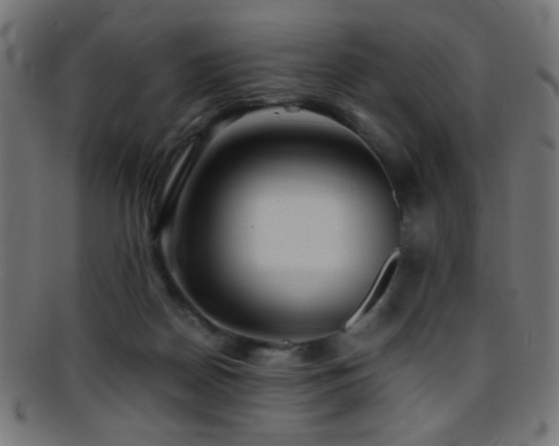 X0000095690170200801081256