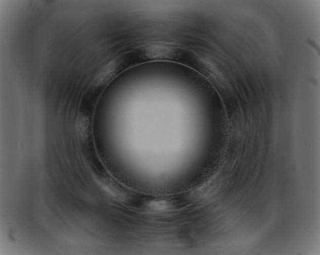 X0000095690171200801081256