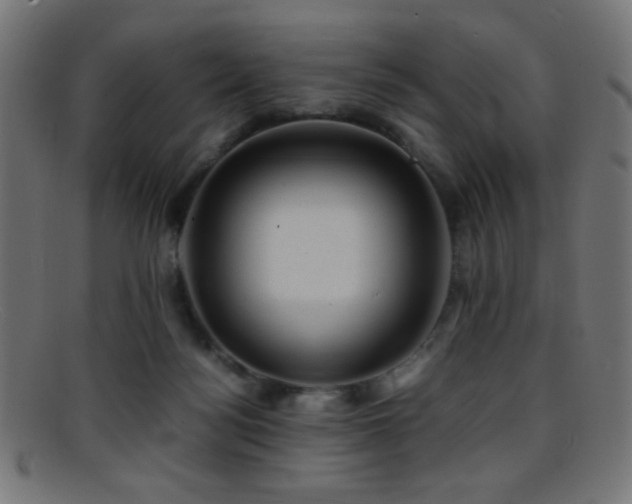 X0000095690172200801081256