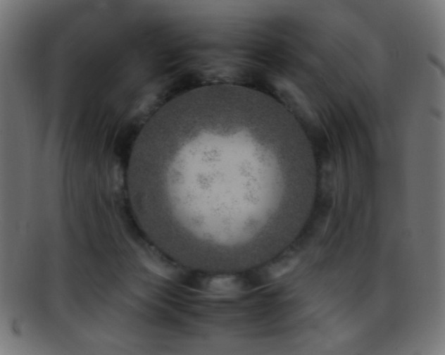X0000095690173200801081256