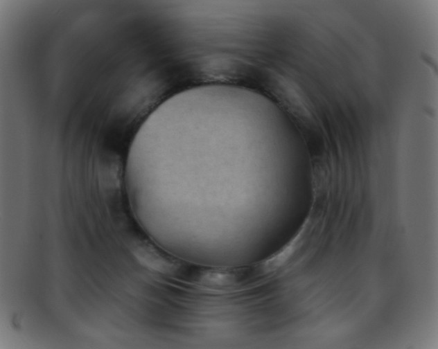 X0000095690174200801081256