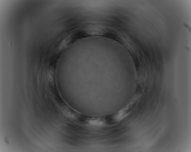 X0000095690175200801081256