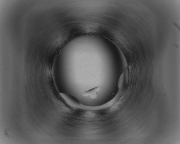 X0000095690176200801081256