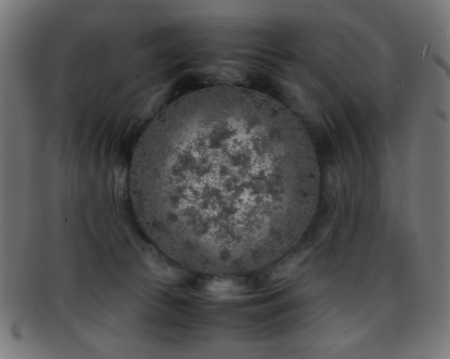 X0000095690177200801081256