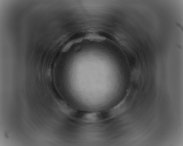 X0000095690178200801081256