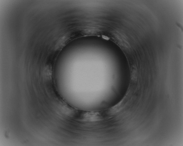X0000095690179200801081256