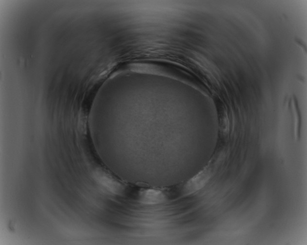 X0000095690180200801081256