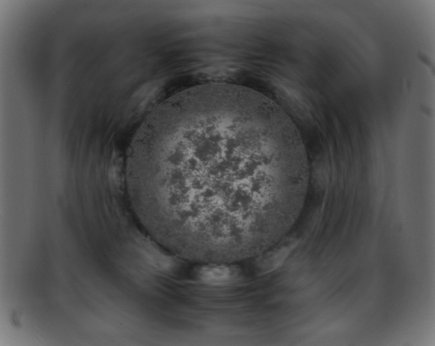 X0000095690181200801081256