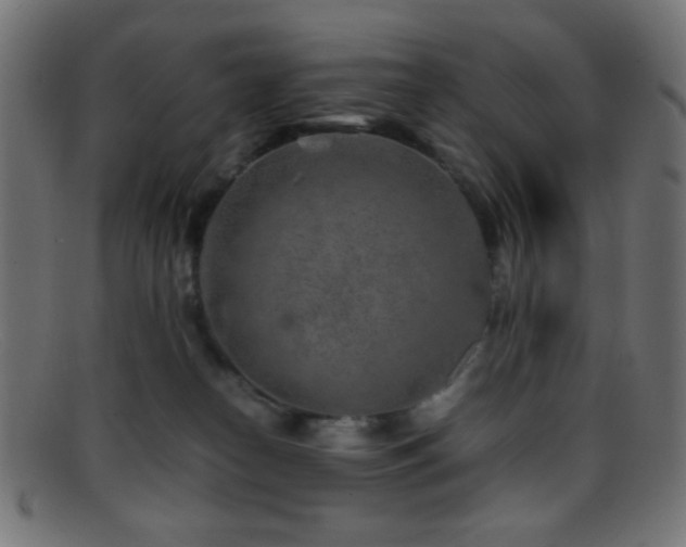 X0000095690182200801081256