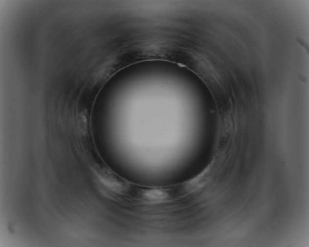 X0000095690183200801081256