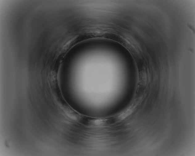 X0000095690184200801081256