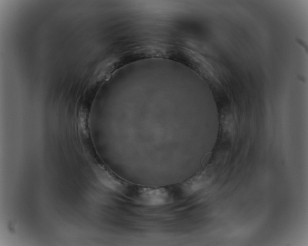 X0000095690185200801081256