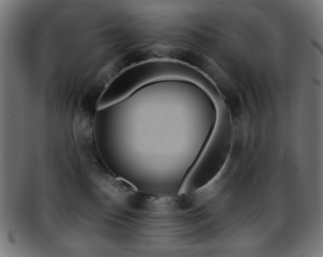X0000095690186200801081256