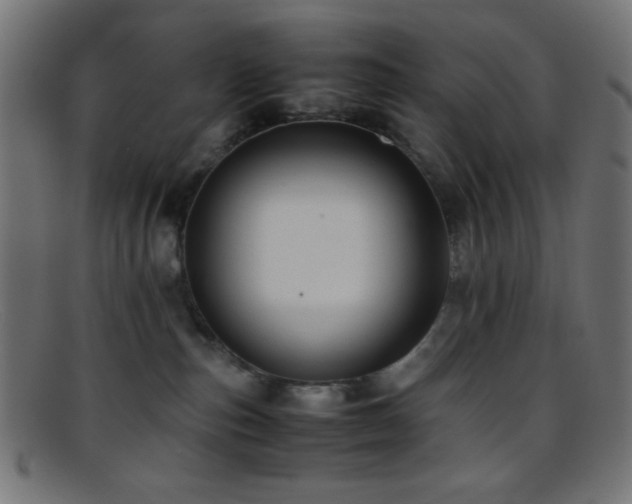 X0000095690187200801081256