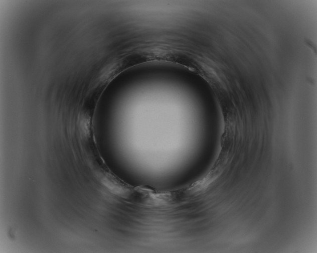 X0000095690188200801081256
