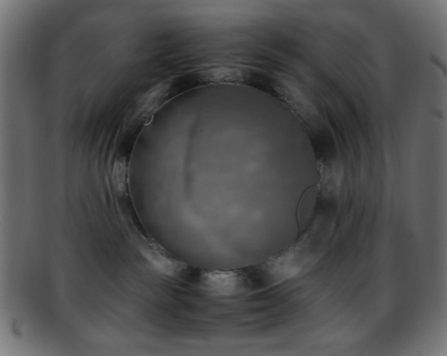 X0000095690189200801081256
