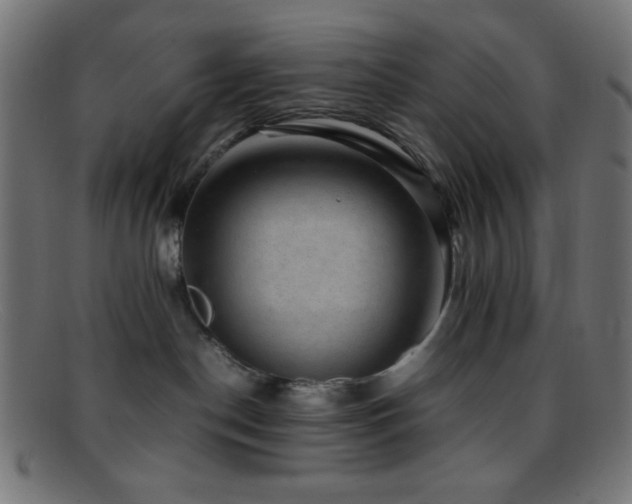 X0000095690190200801081256