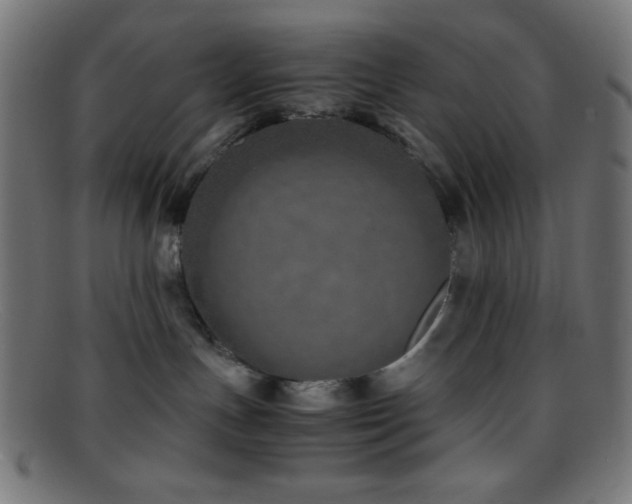 X0000095690191200801081256