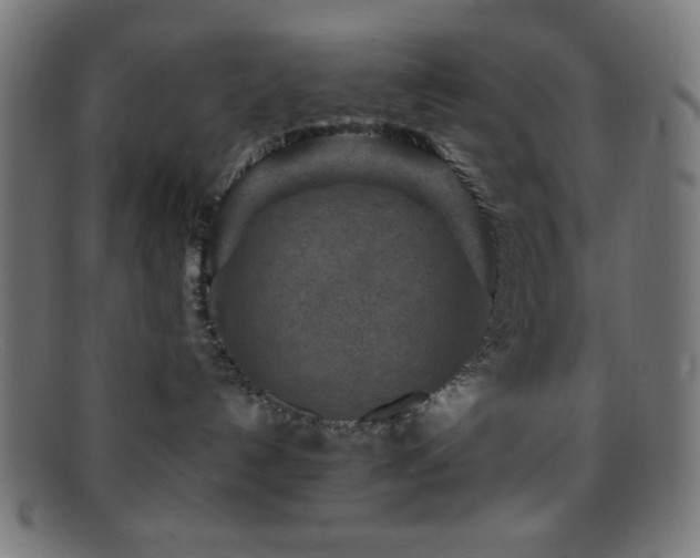 X0000095690192200801081256