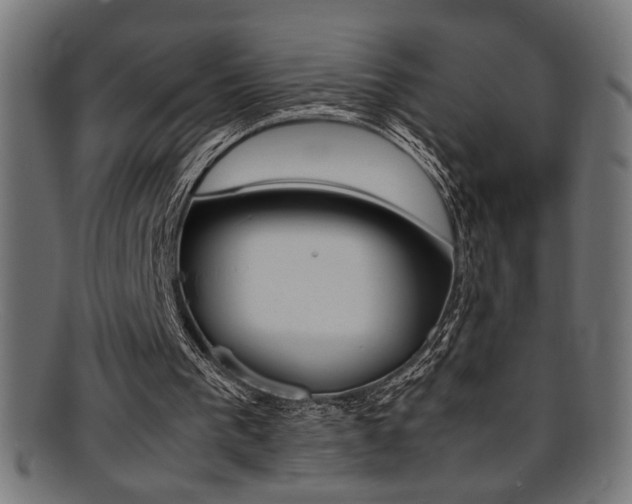 X0000095690193200801081255