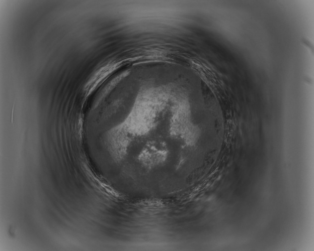X0000095690194200801081255