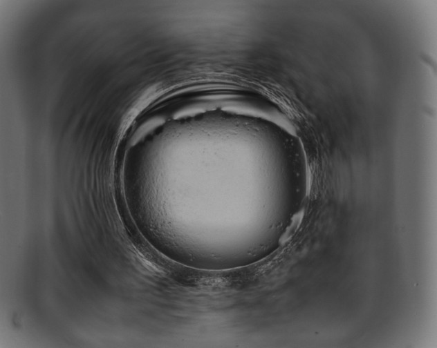 X0000095690195200801081255