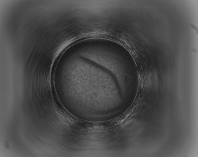 X0000095690196200801081255