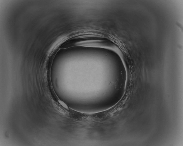 X0000095690197200801081255