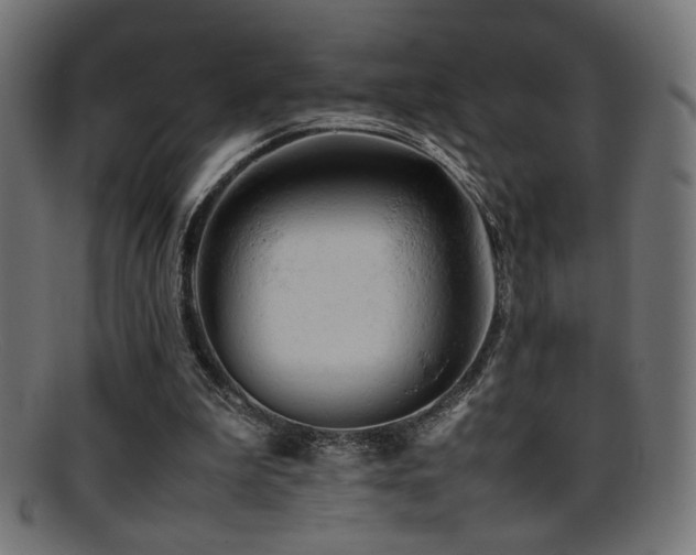 X0000095690199200801081255