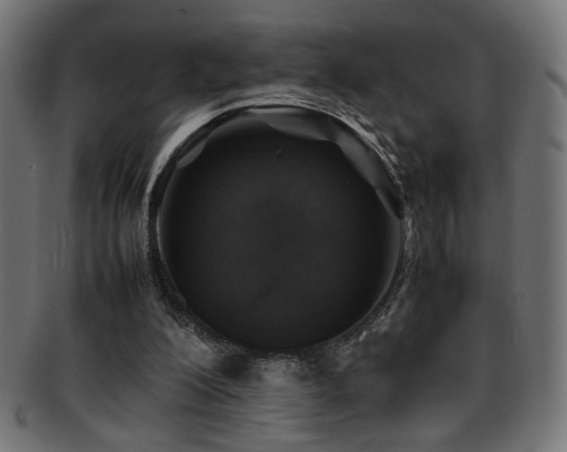 X0000095690200200801081255