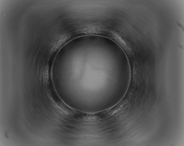 X0000095690202200801081255