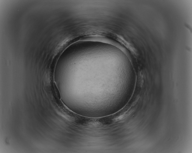 X0000095690203200801081255