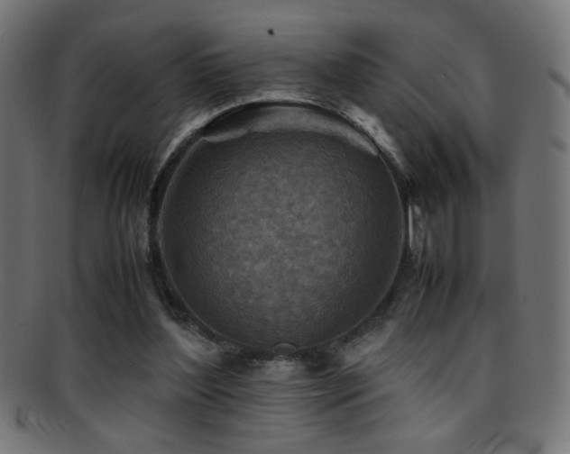 X0000095690204200801081255