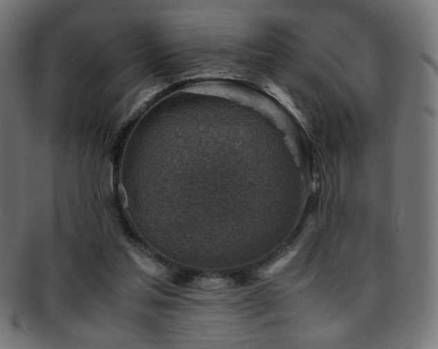 X0000095690205200801081255