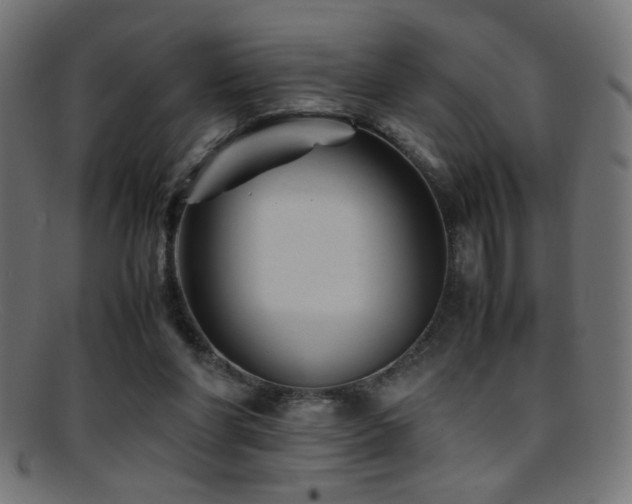X0000095690206200801081255