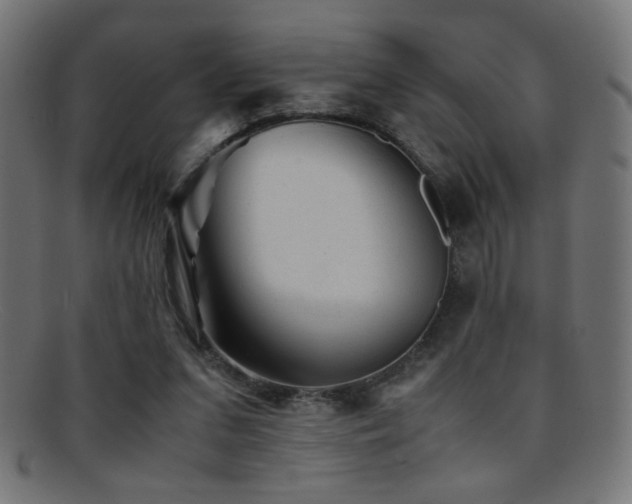 X0000095690207200801081255