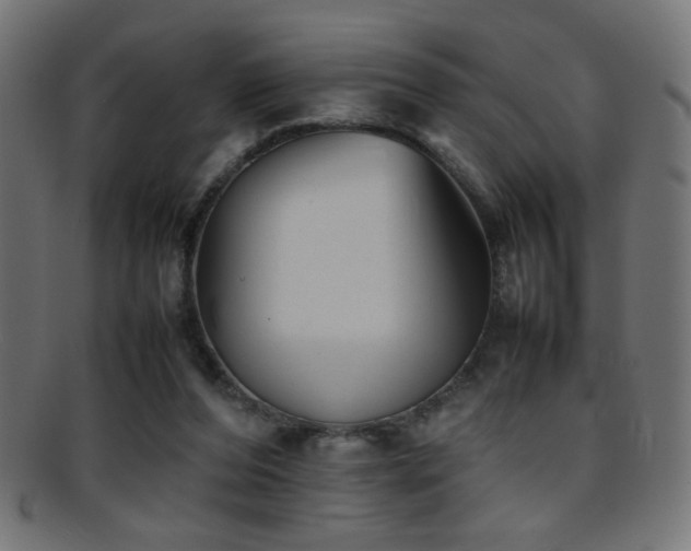 X0000095690208200801081255