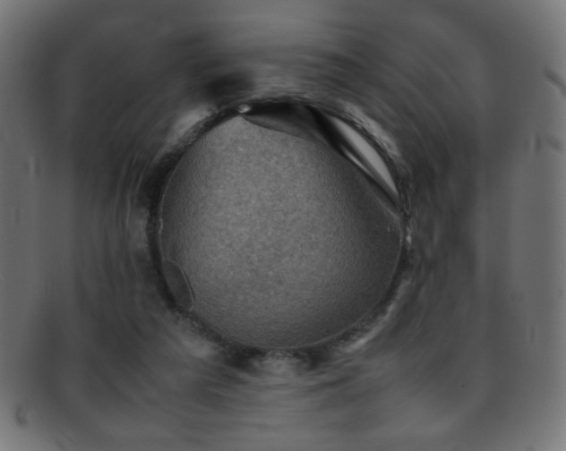 X0000095690209200801081255