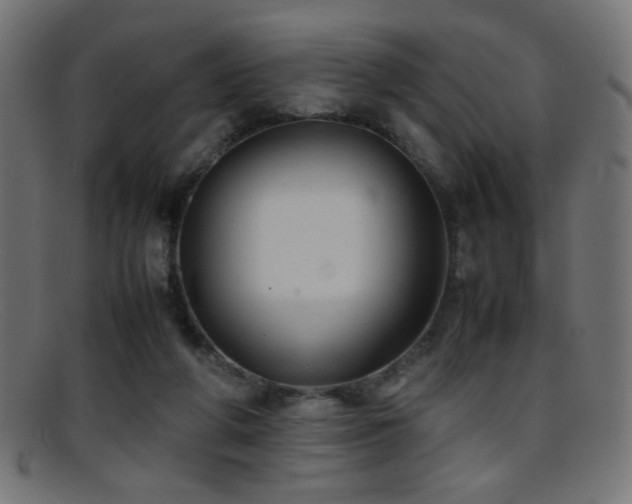 X0000095690210200801081255