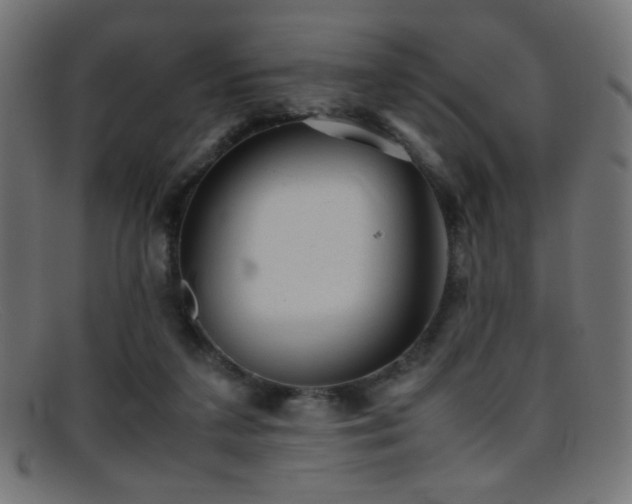 X0000095690211200801081255