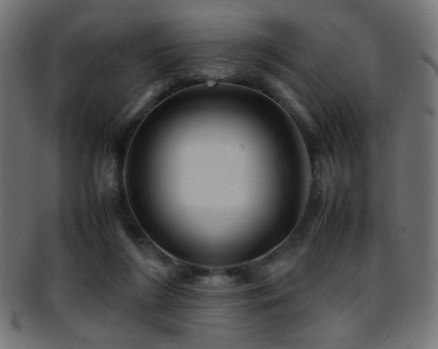 X0000095690212200801081255