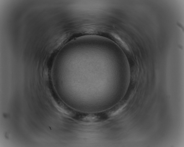 X0000095690213200801081255