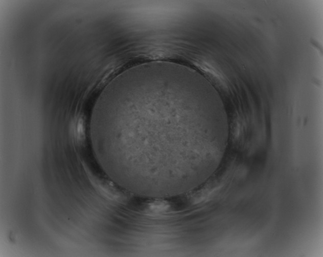 X0000095690214200801081255