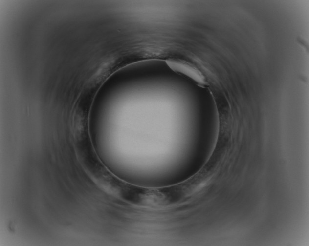 X0000095690215200801081255