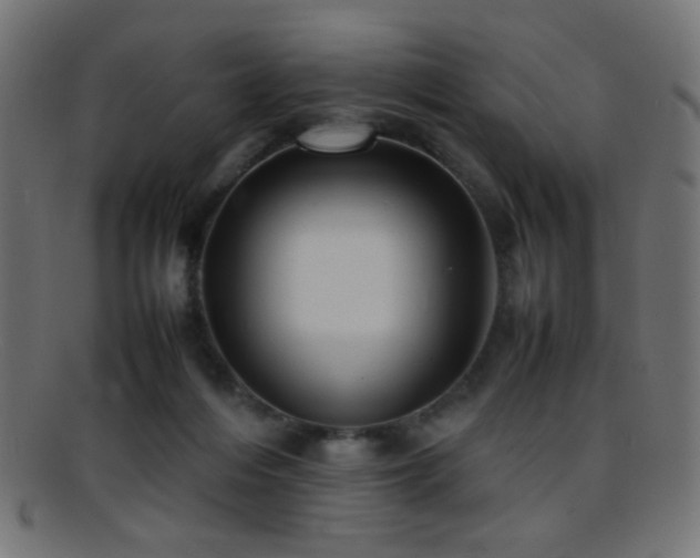 X0000095690216200801081255