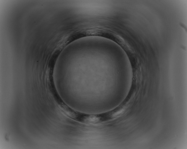 X0000095690217200801081255