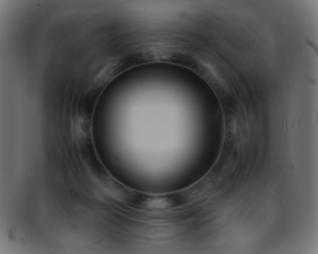X0000095690218200801081255